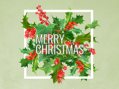 Christmas Holly Christmas Holly