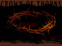 Crown of Thorns Crown of Thorns