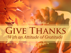 Gratitude Gratitude