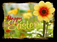 Happy Easter Happy Easter