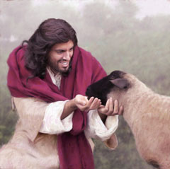 Shepherd Shepherd