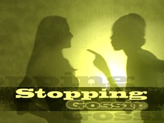 Stopping Gossip Stopping Gossip