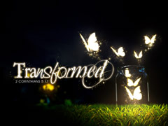 Transformed Transformed